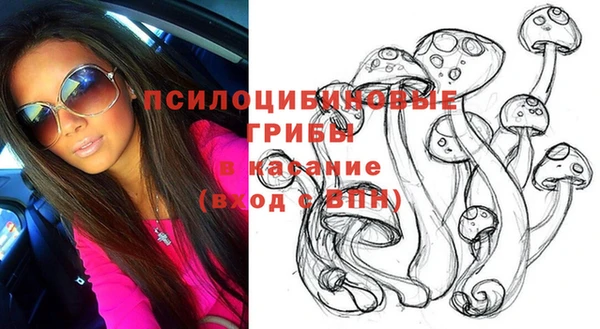 герыч Алексин