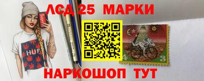 мдпв Кимры