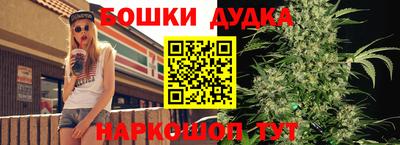 мдпв Кимры