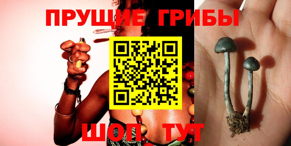Галлюциногенные грибы Cubensis Конаково