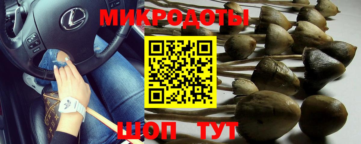 Конаково  Галлюциногенные грибы Magic Shrooms  Вход с VPN 