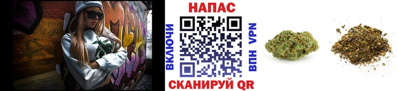 Бошки Шишки планчик  Конаково 
